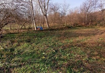 ALTIN EMLAK BOLU ÇARŞI TEMSİLCİLİĞİNDEN ÇAKMAKLAR MH.SATILIK TARLA 18.MADDE İÇİNDE