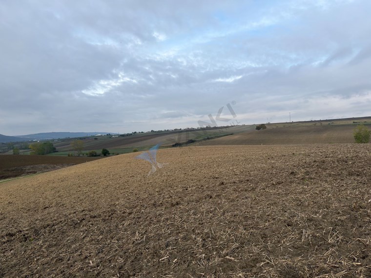 TEKIRDAĞ SÜLEYMANPAŞA OSMANLI KÖYÜ’NDE 89.240 M² SATILIK TARLA