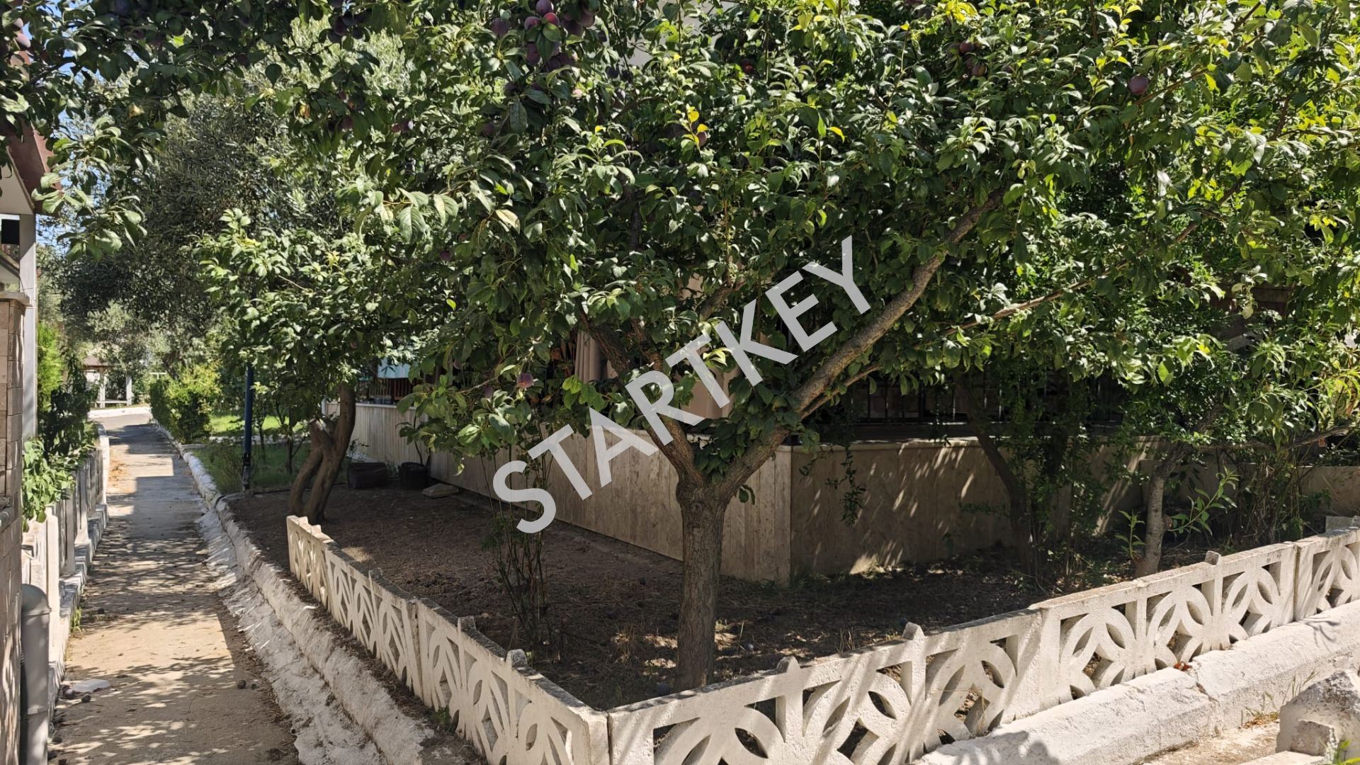 Property-photo