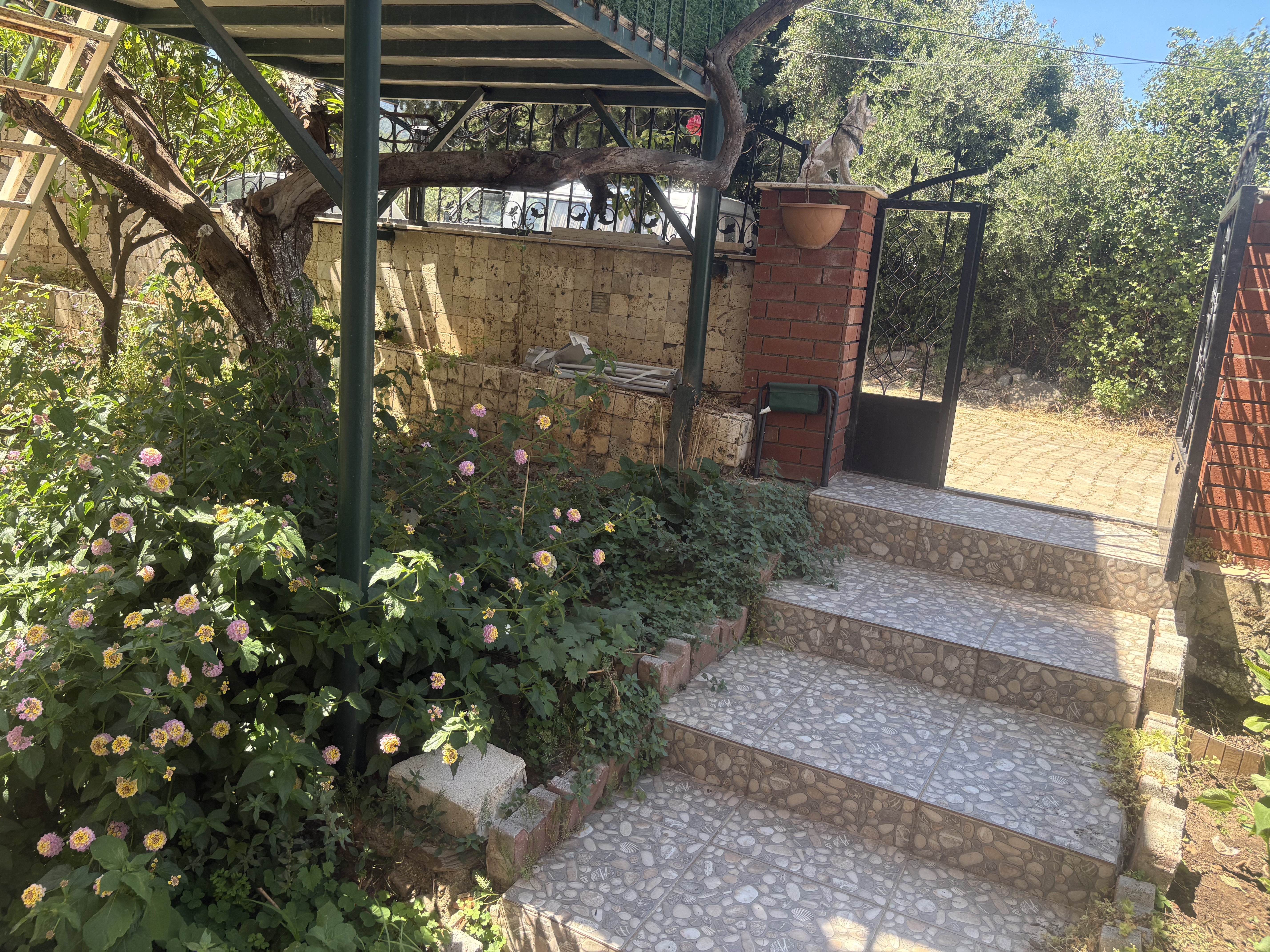 Property-photo
