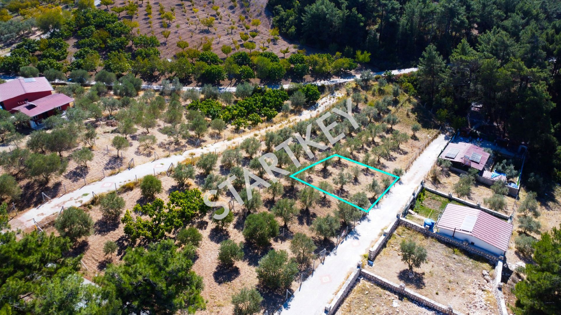 Property-photo