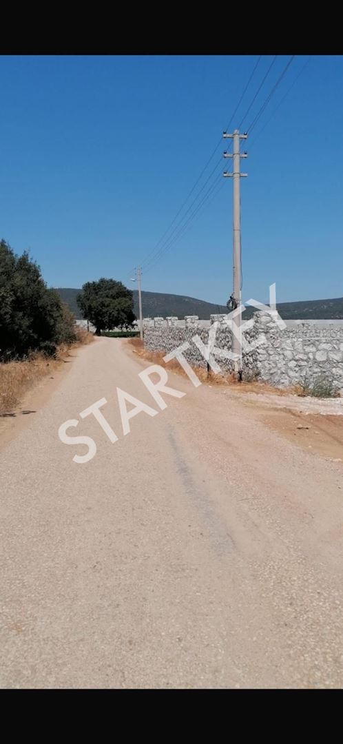Property-photo