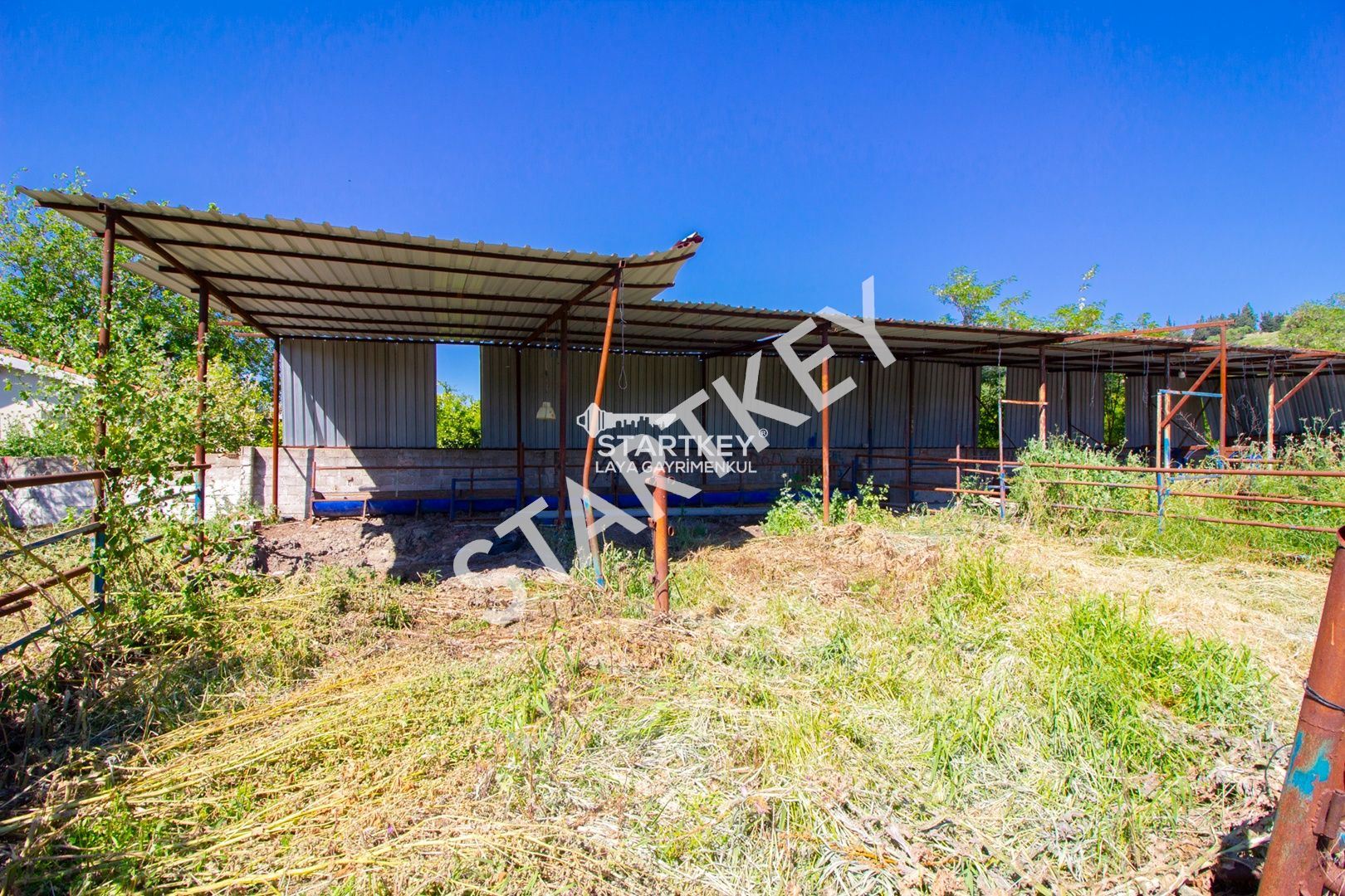 Property-photo