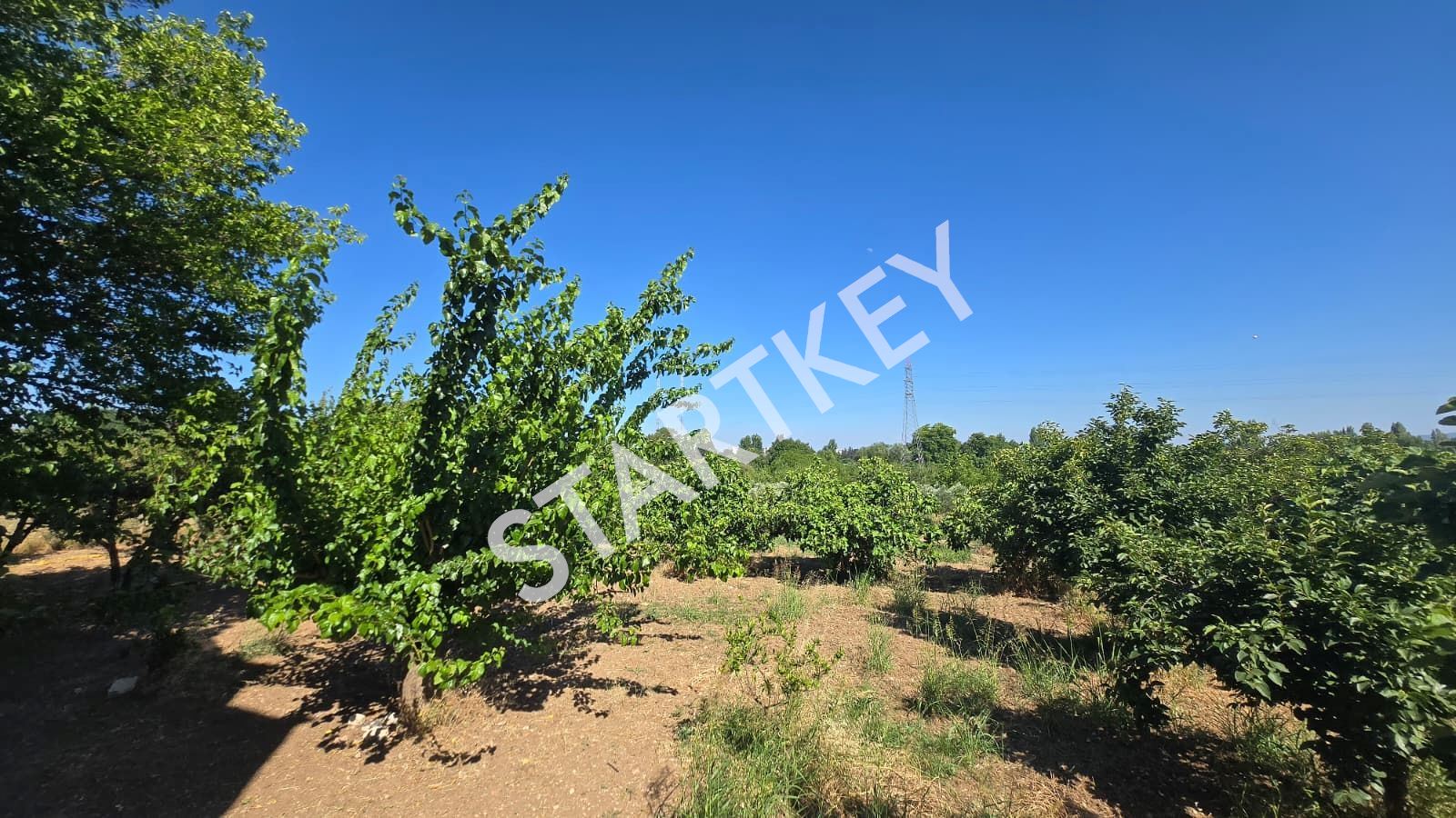 Property-photo