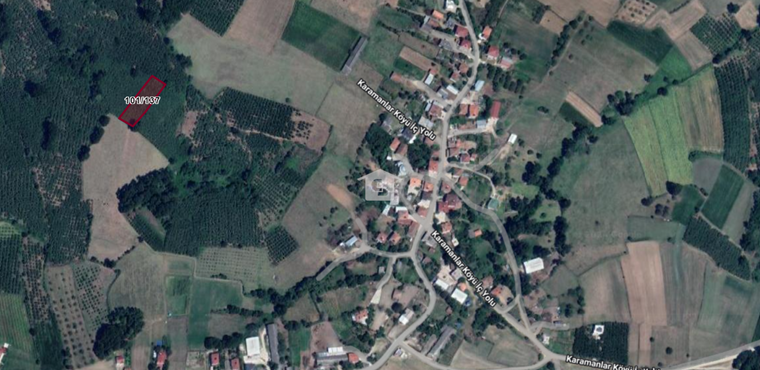 KARAMANLAR KÖYÜ'NDE YATIRIMLIK FINDIK ARAZİSİ