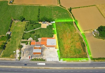 Milas İzmir Karayoluna Sıfır 65 Metre Cepheli 6.910 m² Tarla!