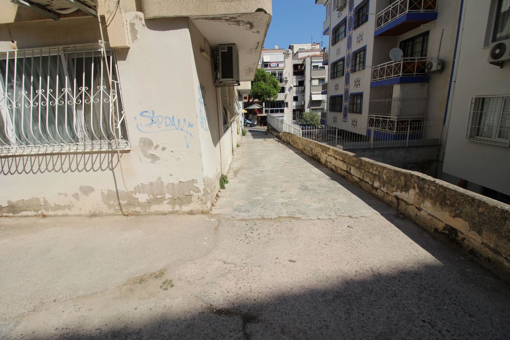 20473536