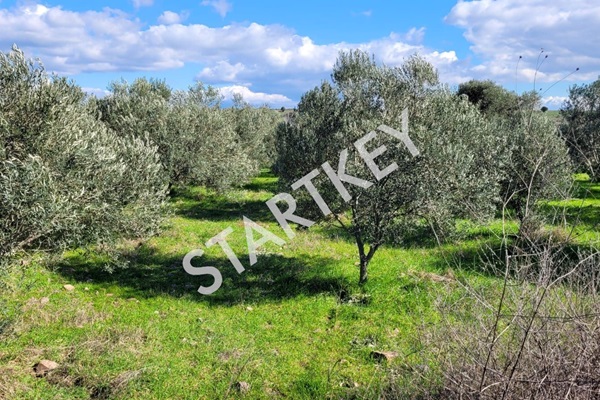 Property-photo
