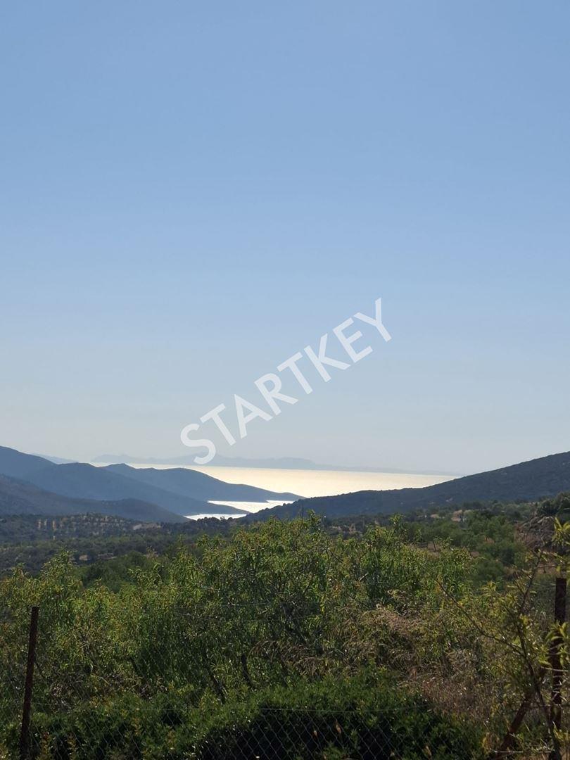 Datça Cumalı'da Deniz Manzaralı Tarla — kare 2