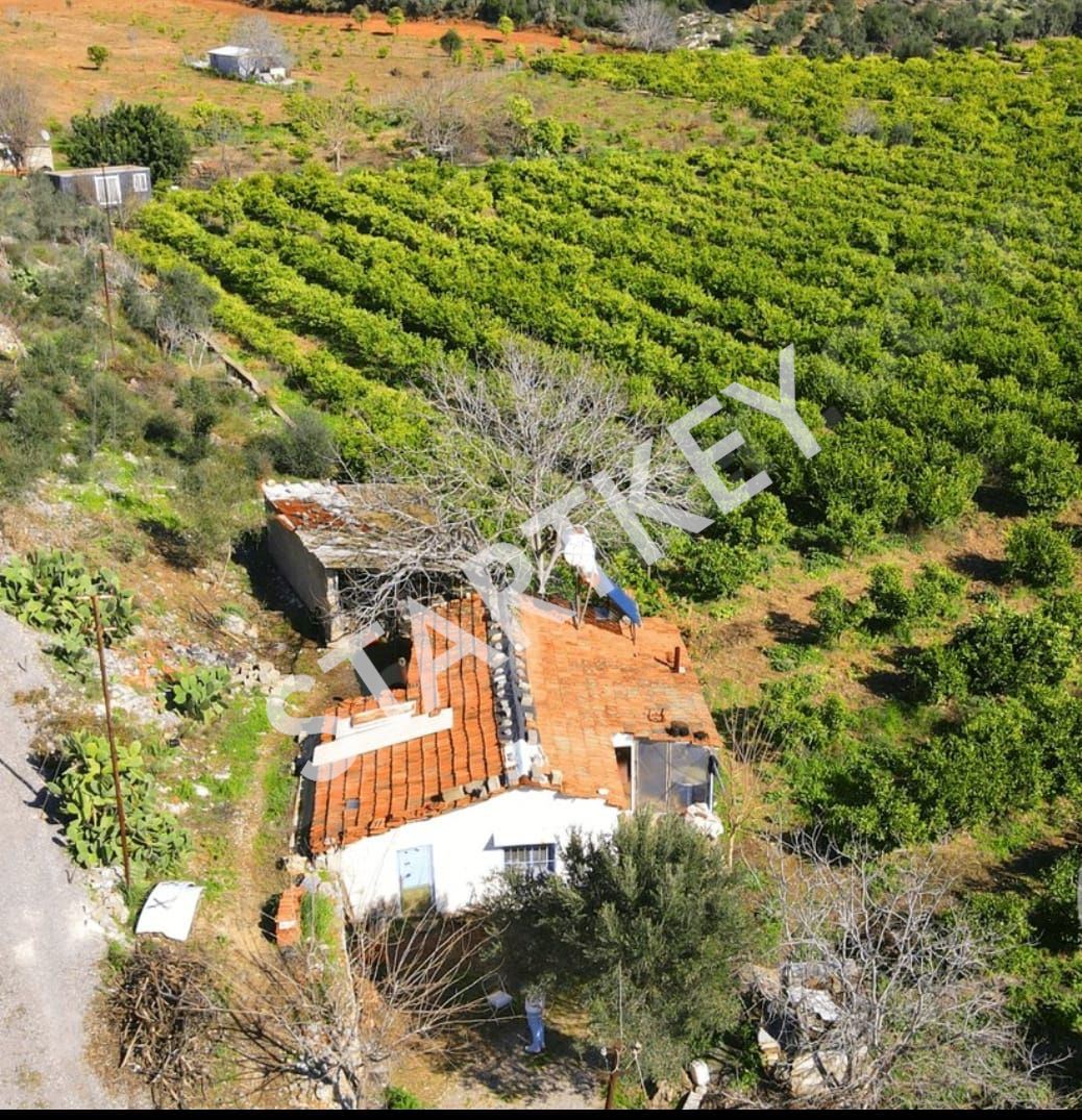 Property-photo