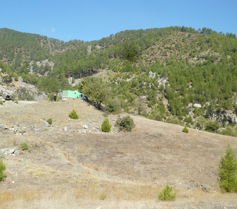 DENİZLİ ACIPAYAM YOLÇATI MH 1728M2 TARLA