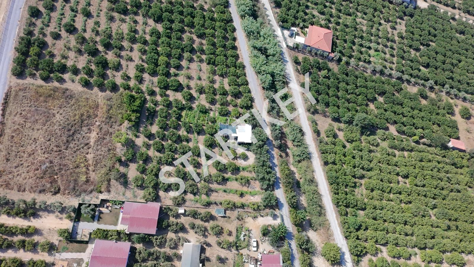 Property-photo