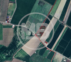 DİDİM AK YENİKÖYDE SATILIK DÜZ KONUMDA SULU TARLA