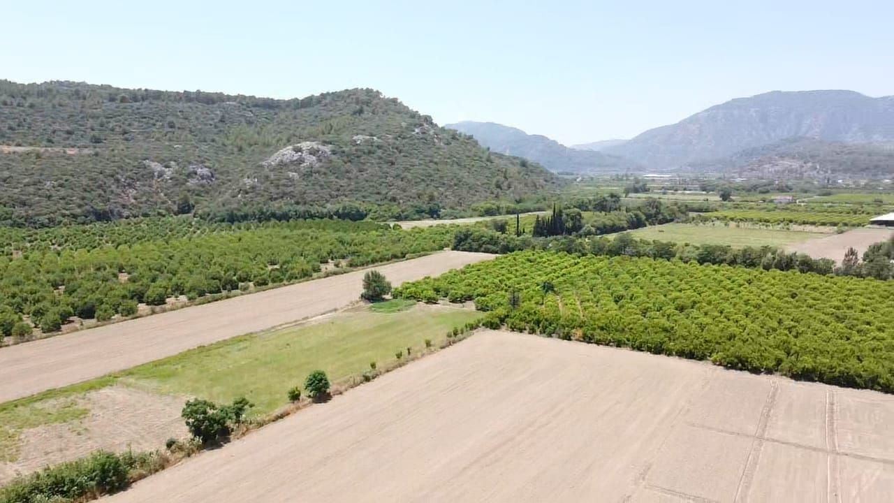 Property-photo