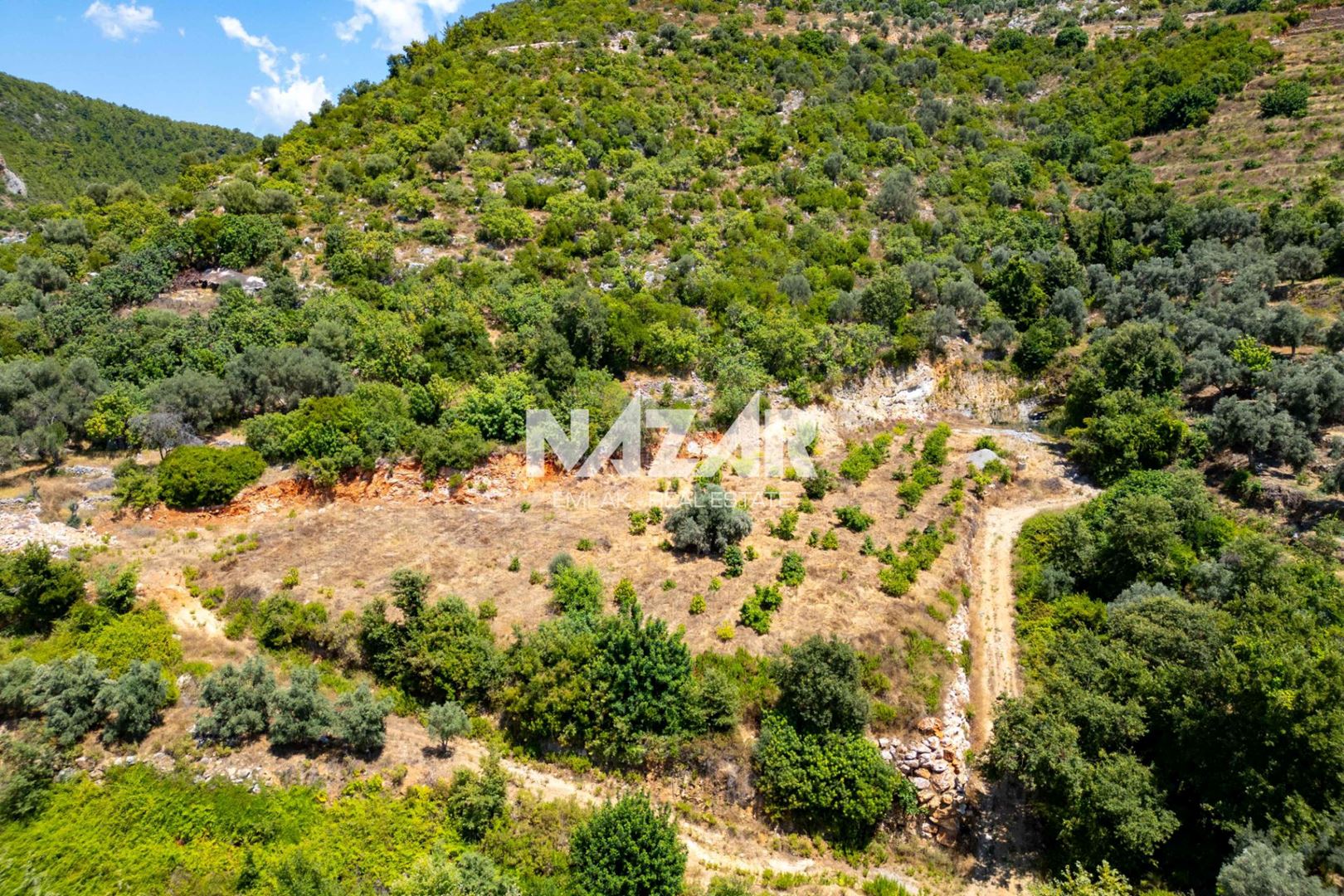 Property-photo