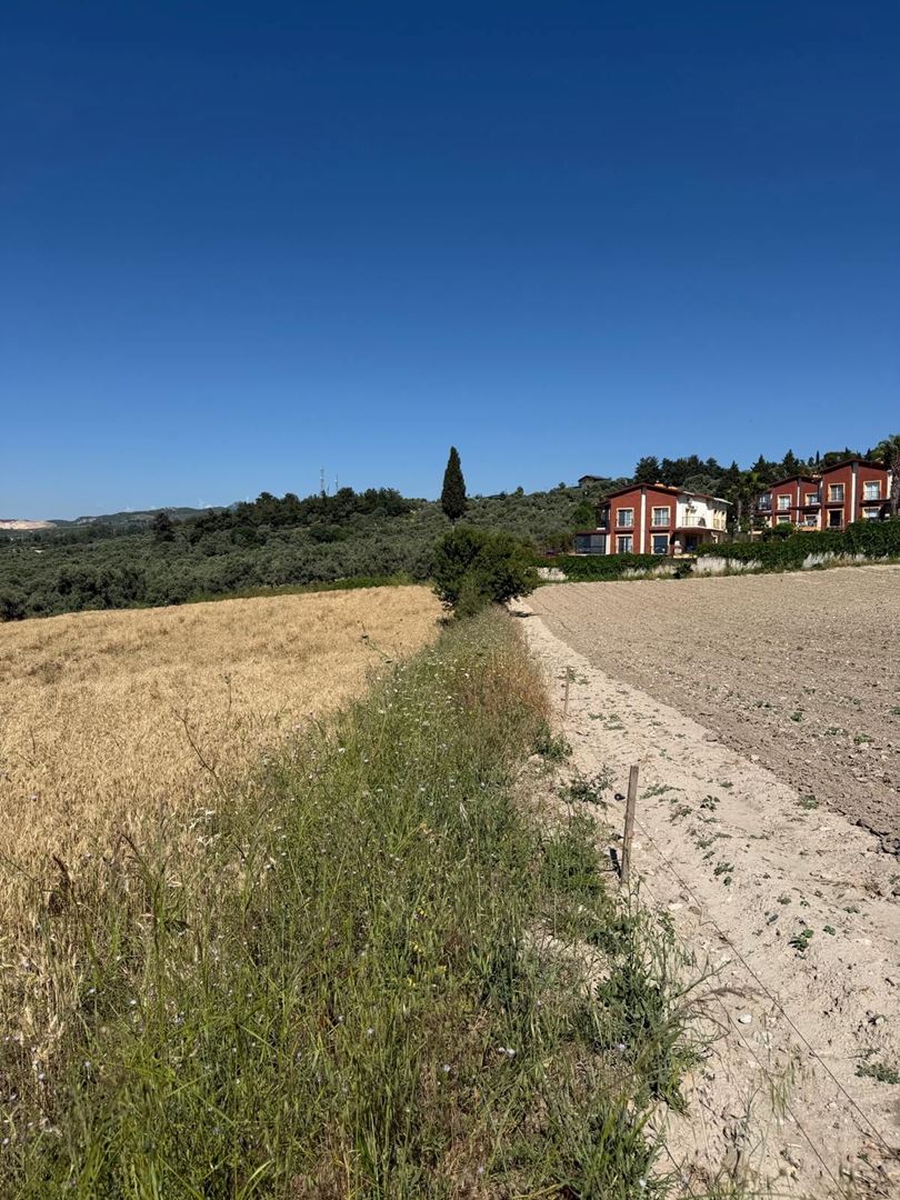Property-photo
