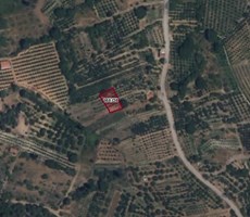 POYRAZ'DAN ISPARTA AKDOĞAN'DA 485m² SATILIK BAHÇE