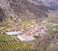 Muğla Dalaman Ortaca Mergenli'de satılık