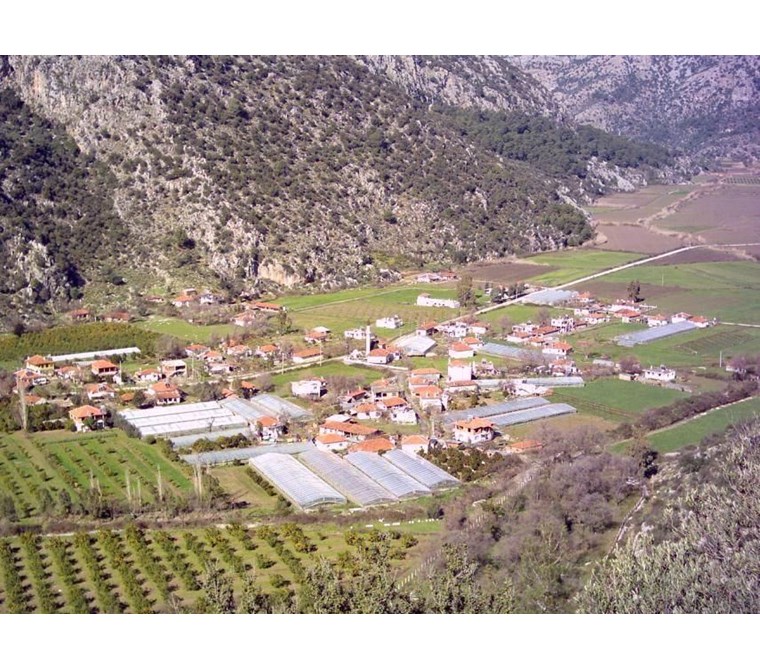 Muğla Dalaman Ortaca Mergenli'de satılık