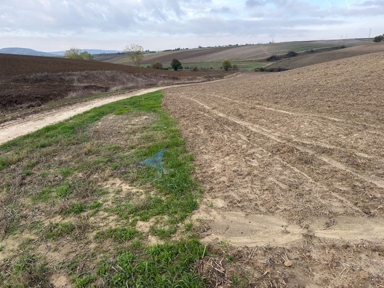 TEKIRDAĞ SÜLEYMANPAŞA OSMANLI KÖYÜ’NDE 89.240 M² SATILIK TARLA