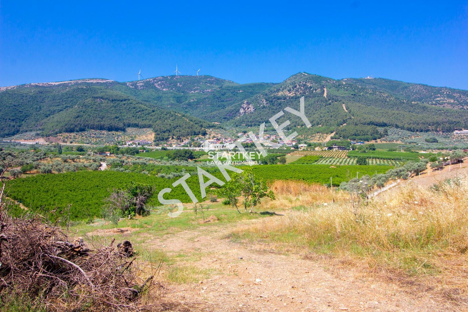 Property-photo