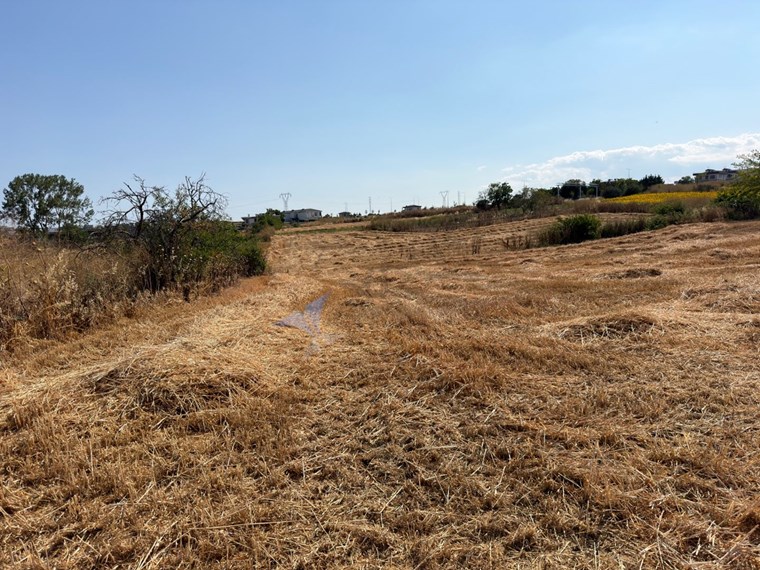 Tekirdağ Atatürk'te Satılık 750 m² İmarlı Arsa