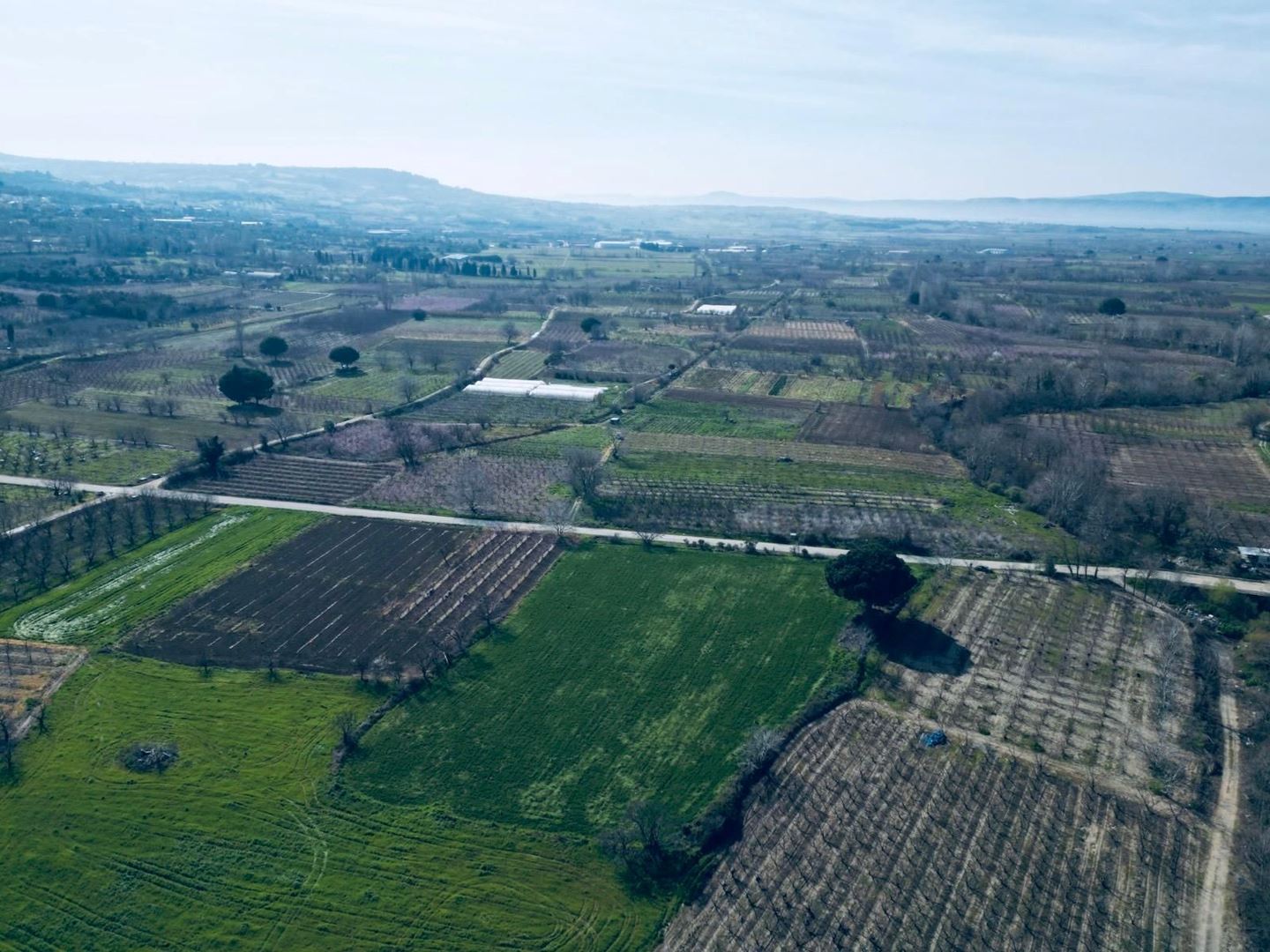 UMURBEYDE TARIMA ELVERİŞLİ ARAZİ — Çanakkale gayrimenkul ilan görseli 5 / 6, Aevum Troia