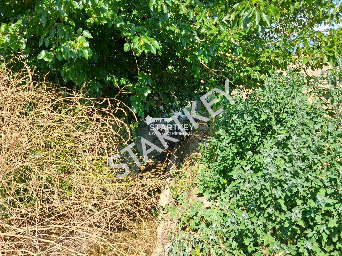 Property-photo