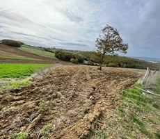 DERİNCE GEREDELİ MAHALLESİNDE 4016 m² YOLA CEPHELİ TARLA