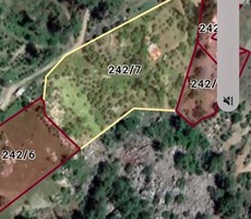 dalaman narlıda satılık 8506 m2 bahçe ve köyevi