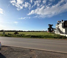 güzelyurt/ gaziveren satılık ticari arsa