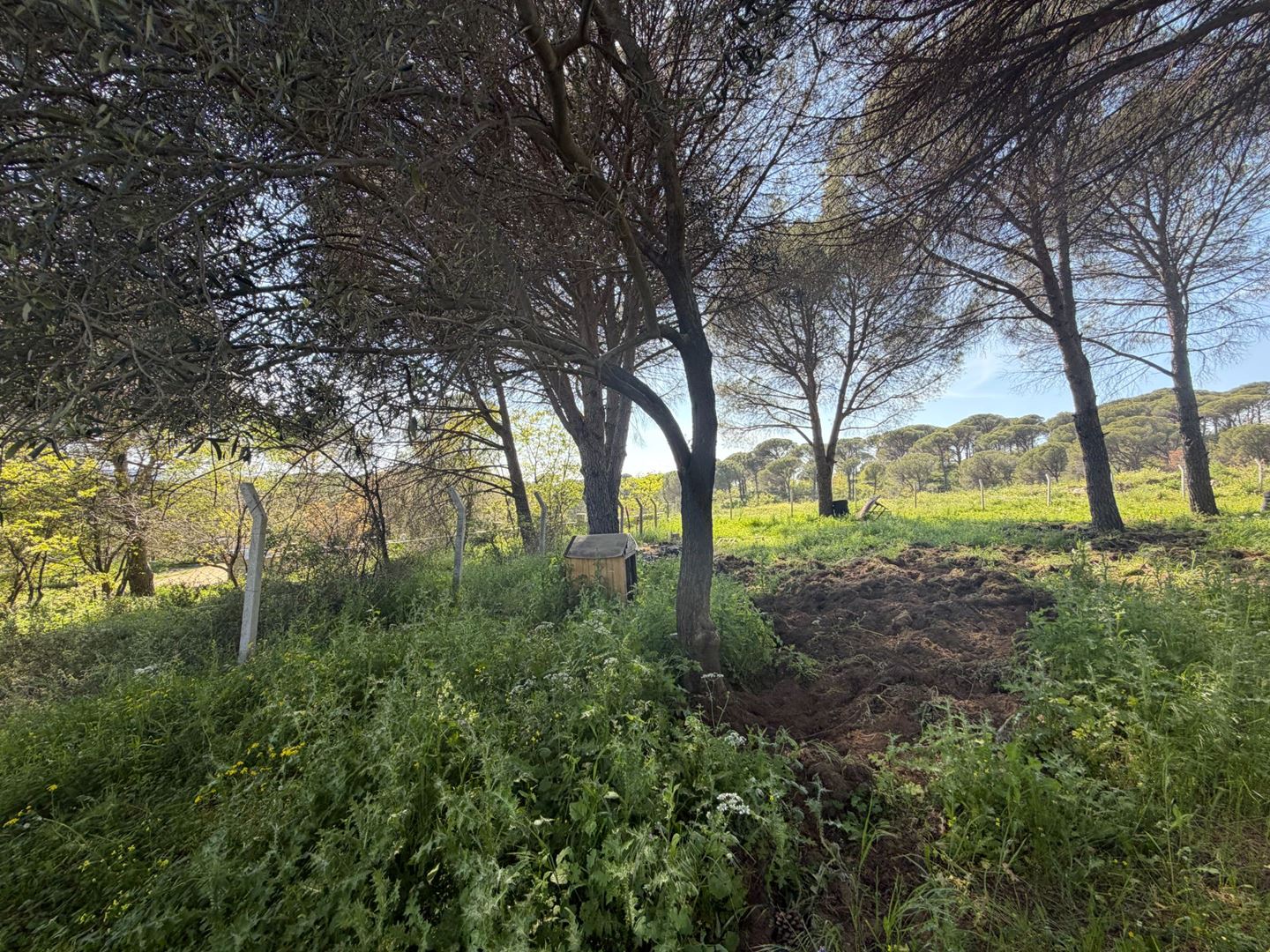 Property-photo