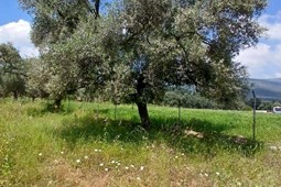 recent-property