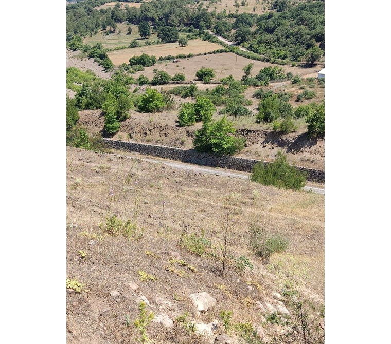Çanakkale Akçalı'da 11.667 m² Satılık Tarla - Yatırıma Uygun