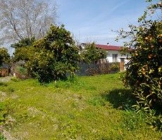 KÖYCEĞİZ MAHALLESİ PAZARKAVAĞI MEVKİİNDE 3500 M2 ARAZİ İÇİNDE TAPUYA İŞLİ 80 M2 OTURUMLU EV VE YA