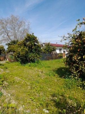 KÖYCEĞİZ MAHALLESİ PAZARKAVAĞI MEVKİİNDE 3500 M2 ARAZİ İÇİNDE TAPUYA İŞLİ 80 M2 OTURUMLU EV VE YA