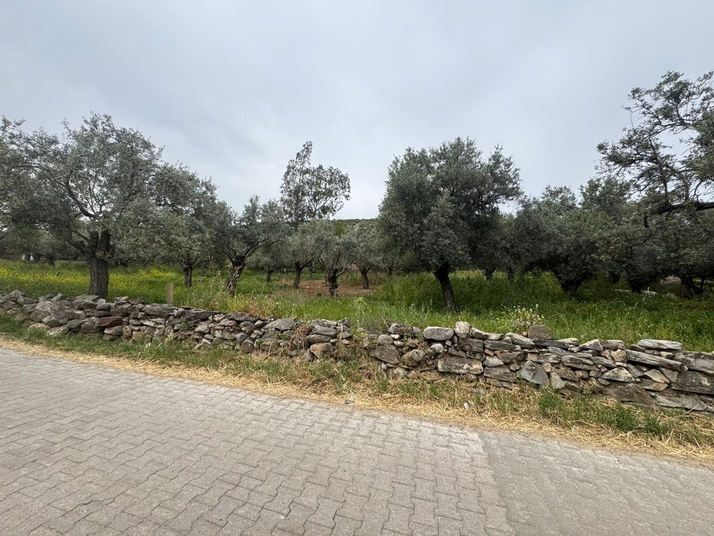 Property-photo