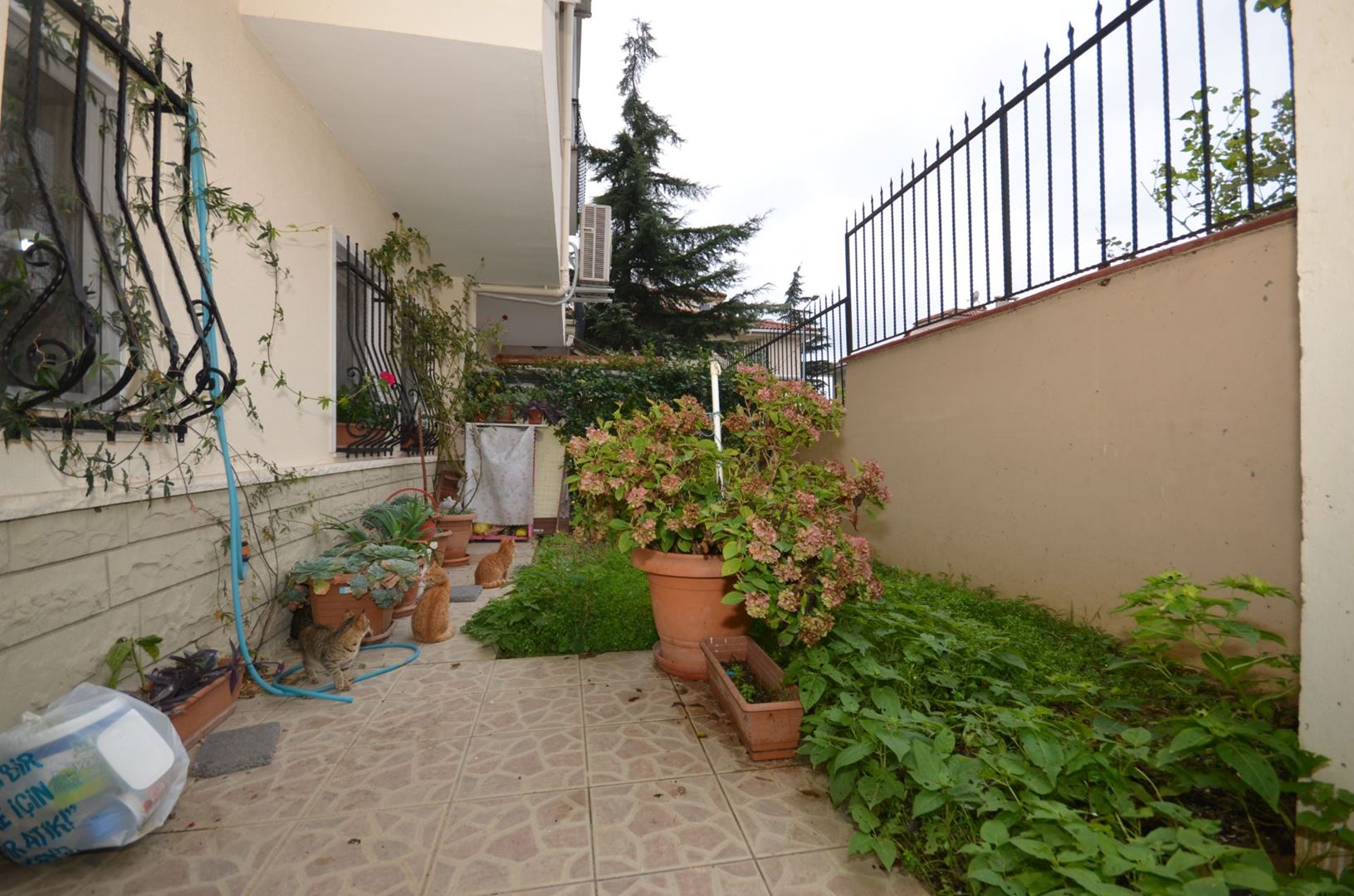 Property-photo