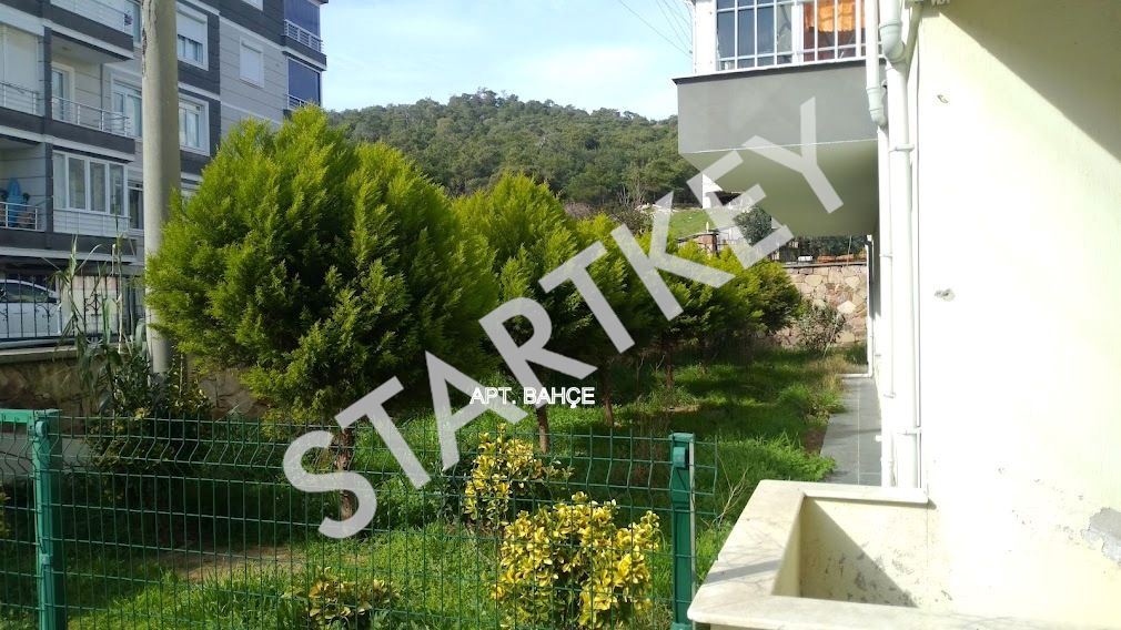 Property-photo