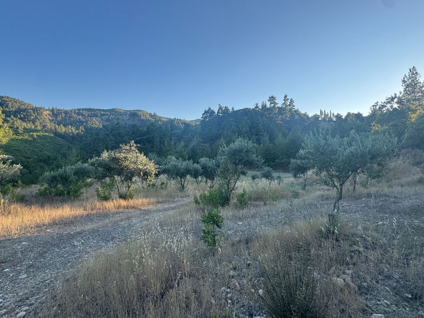 Property-photo