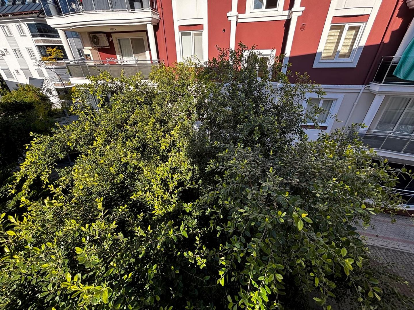 Property-photo