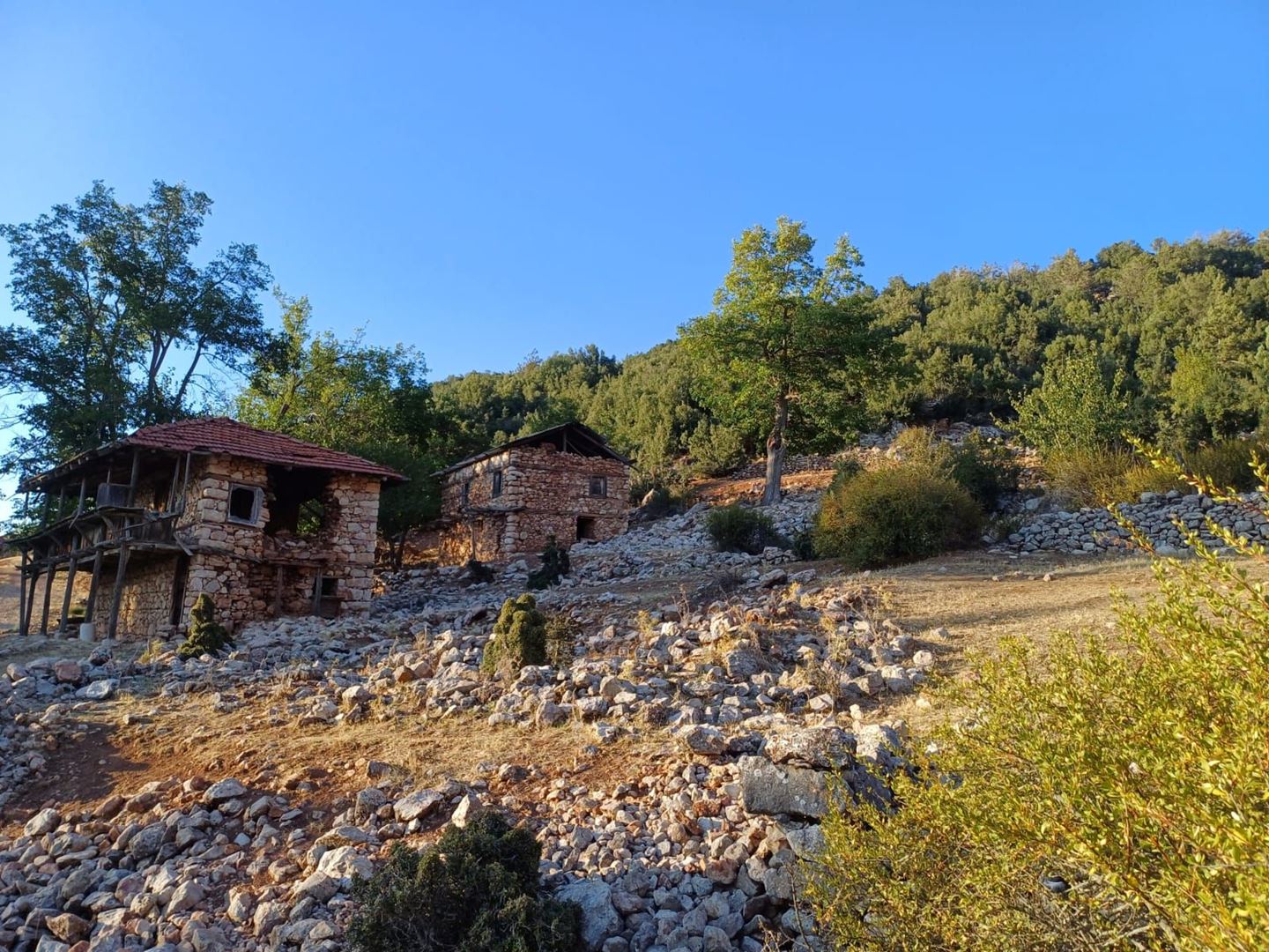 Property-photo
