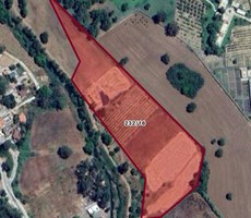 MÜJGAN EMLAK'TAN ÇAMLI'DA SATILIK TARIM İMARLI ARAZİ