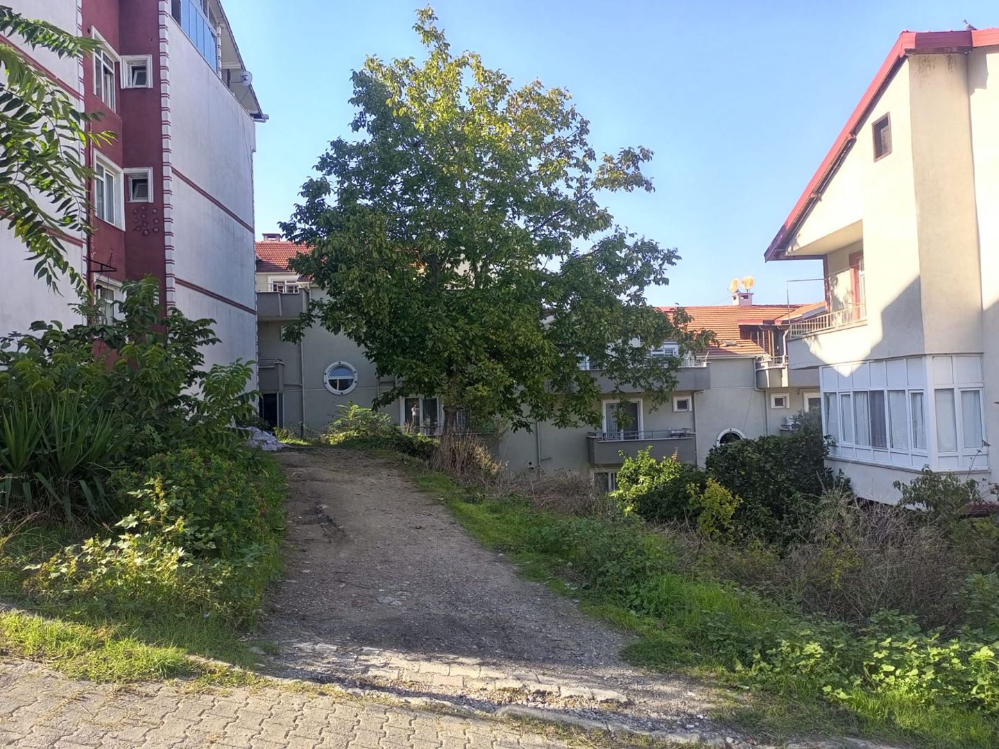 Property-photo
