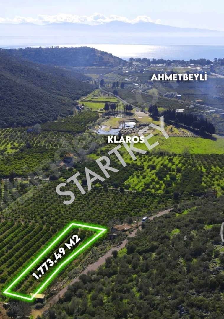Property-photo
