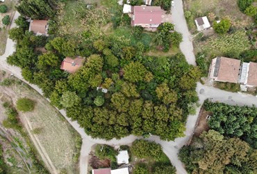 KOCAELİ GÖLCÜK YAZLIK'TA 898m2 ARSA (VİLLA YAPIMINA UYGUN)