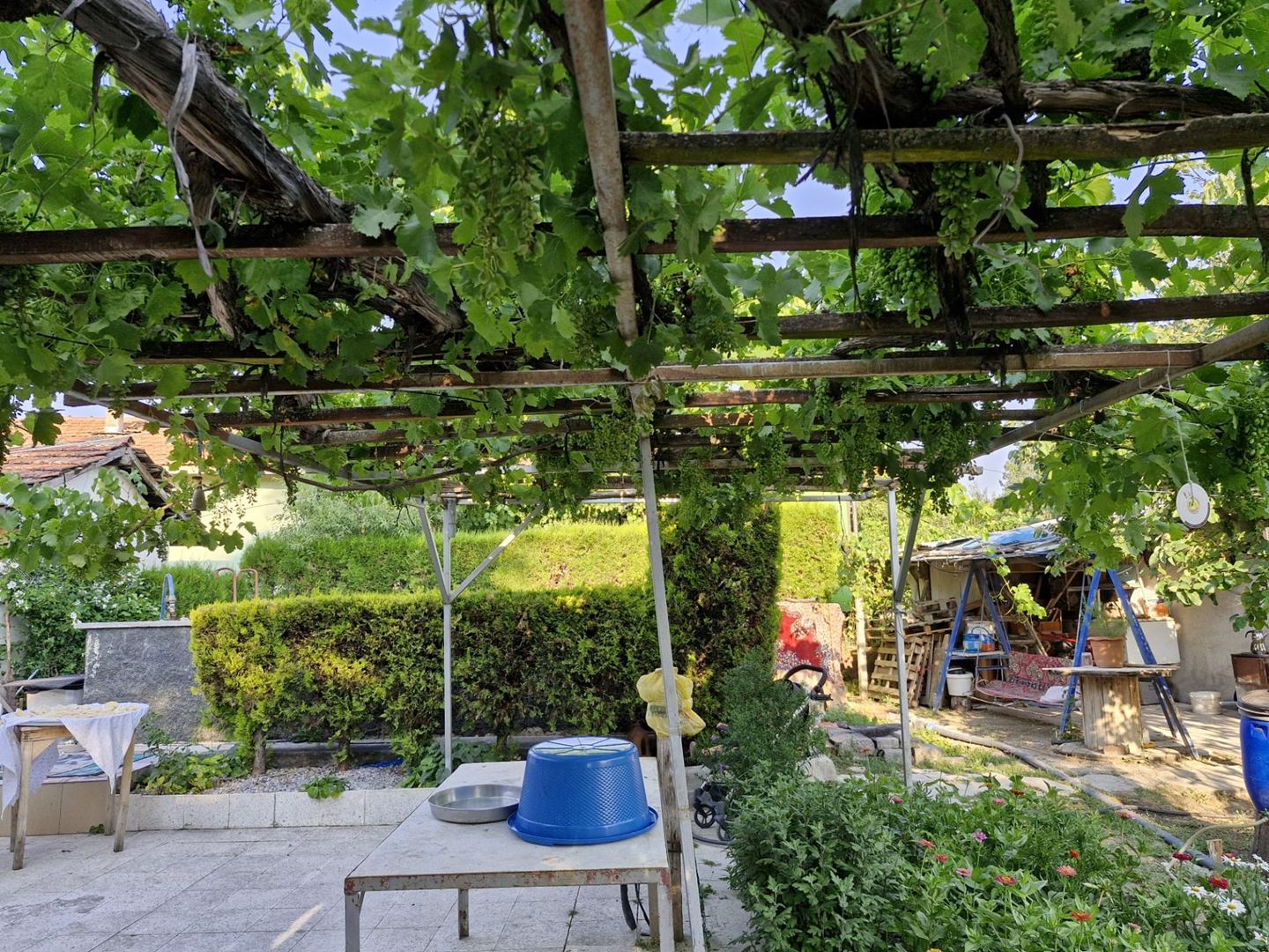 Property-photo