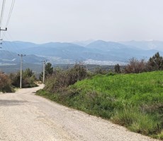 YAKAPARK MANZARALI, 150 AĞAÇLI, PANORAMİK YATIRIMLIK TARLA