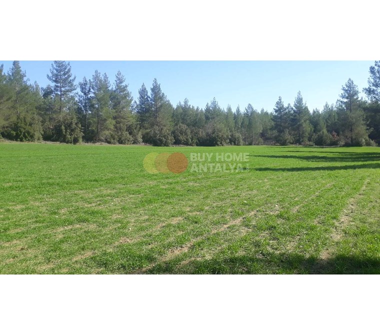 3 Sides Forest, 1 Side Asphalt Road Facade, Electricity Water Subscriber and Licenced House Land for