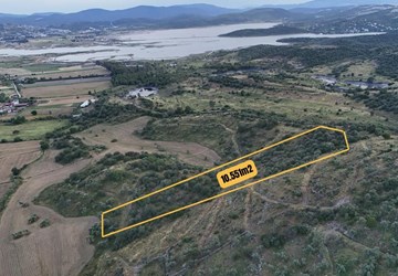 Tuzla Sulak Alanı Manzaralı 10.551 m² Satılık Verimli Zeytinlik!